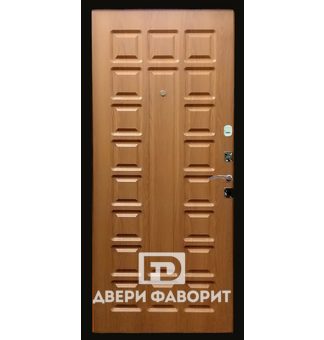 Дверь железная для квартиры